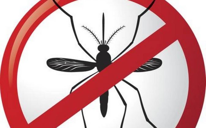 Swapnasundaree | कोरोना काल में डेंगू के प्रति रहें सावधान