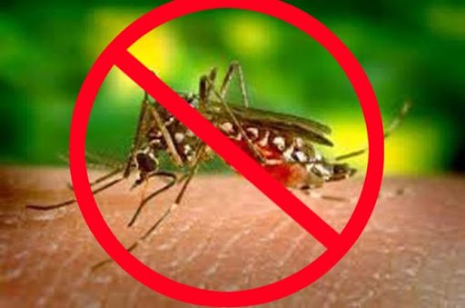 Swapnasundaree | अभी का मौसम मच्छरों के लिए है अनुकूल, डेंगू को लेकर रहें...